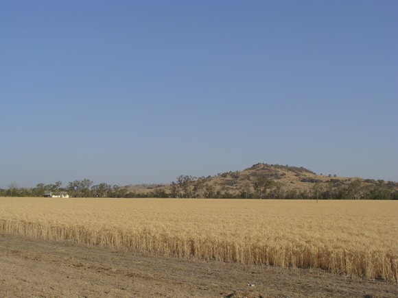gal/03-Oceanie/32-Australie/02-Queensland/03-route_Toowoomba/01-le_parcours/DSC04373.jpg