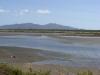 gal/03-Oceanie/32-Australie/02-Queensland/03-route_Toowoomba/01-le_parcours/_thb_DSC04325.jpg