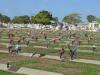 gal/03-Oceanie/32-Australie/02-Queensland/03-route_Toowoomba/01-le_parcours/_thb_DSC04329.jpg