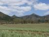gal/03-Oceanie/32-Australie/02-Queensland/03-route_Toowoomba/01-le_parcours/_thb_DSC04345.jpg