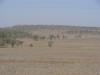 gal/03-Oceanie/32-Australie/02-Queensland/03-route_Toowoomba/01-le_parcours/_thb_DSC04376.jpg