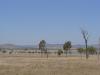 gal/03-Oceanie/32-Australie/02-Queensland/03-route_Toowoomba/01-le_parcours/_thb_DSC04430.jpg