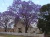 gal/03-Oceanie/32-Australie/02-Queensland/03-route_Toowoomba/01-le_parcours/_thb_DSC04433.jpg