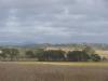 gal/03-Oceanie/32-Australie/02-Queensland/03-route_Toowoomba/01-le_parcours/_thb_DSC04440.jpg