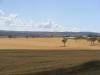 gal/03-Oceanie/32-Australie/02-Queensland/03-route_Toowoomba/01-le_parcours/_thb_DSC04448.jpg