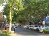 gal/03-Oceanie/32-Australie/02-Queensland/03-route_Toowoomba/02-Rockhampton/_thb_DSC04350.jpg