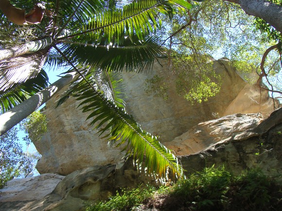 gal/03-Oceanie/32-Australie/02-Queensland/03-route_Toowoomba/03-gorges_Cania/DSC04394.jpg