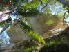 gal/03-Oceanie/32-Australie/02-Queensland/03-route_Toowoomba/03-gorges_Cania/_thb_DSC04394.jpg