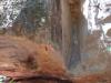 gal/03-Oceanie/32-Australie/02-Queensland/03-route_Toowoomba/03-gorges_Cania/_thb_DSC04400.jpg