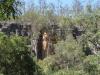 gal/03-Oceanie/32-Australie/02-Queensland/03-route_Toowoomba/03-gorges_Cania/_thb_DSC04401.jpg