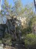 gal/03-Oceanie/32-Australie/02-Queensland/03-route_Toowoomba/03-gorges_Cania/_thb_DSC04412.jpg