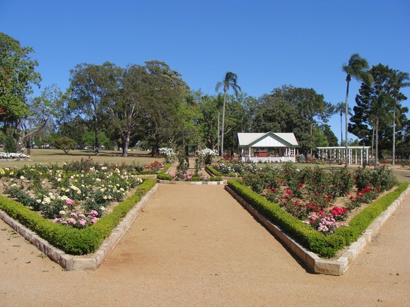 gal/03-Oceanie/32-Australie/02-Queensland/04-Toowoomba/02-State_Rose_Garden/DSC04453.jpg