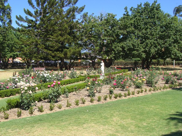 gal/03-Oceanie/32-Australie/02-Queensland/04-Toowoomba/03-Laurel_Bank_Park/DSC04461.jpg