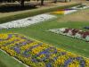 gal/03-Oceanie/32-Australie/02-Queensland/04-Toowoomba/03-Laurel_Bank_Park/_thb_DSC04459.jpg