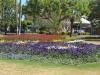 gal/03-Oceanie/32-Australie/02-Queensland/04-Toowoomba/03-Laurel_Bank_Park/_thb_DSC04463.jpg