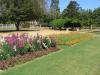 gal/03-Oceanie/32-Australie/02-Queensland/04-Toowoomba/03-Laurel_Bank_Park/_thb_DSC04465.jpg