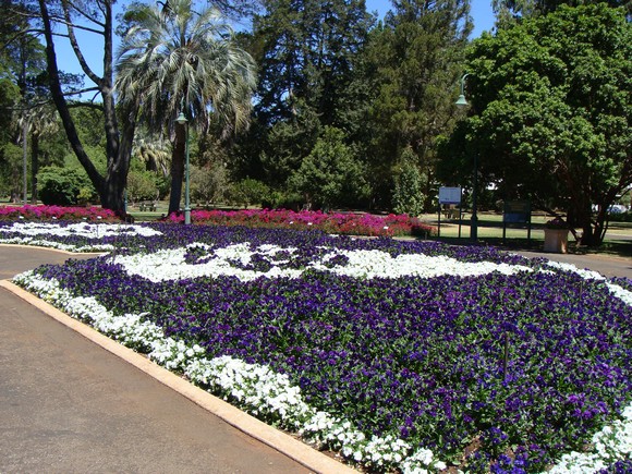 gal/03-Oceanie/32-Australie/02-Queensland/04-Toowoomba/04-Queens_Park_Gardens/DSC04472.jpg