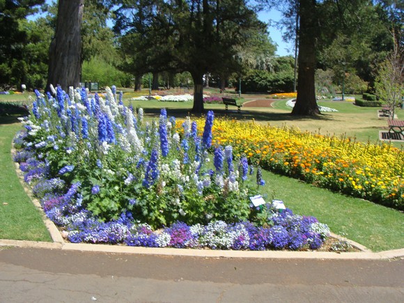 gal/03-Oceanie/32-Australie/02-Queensland/04-Toowoomba/04-Queens_Park_Gardens/DSC04477.jpg