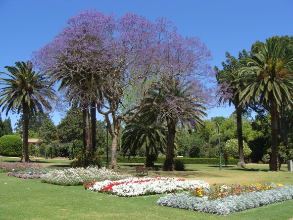 gal/03-Oceanie/32-Australie/02-Queensland/04-Toowoomba/04-Queens_Park_Gardens/DSC04478.jpg