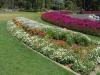 gal/03-Oceanie/32-Australie/02-Queensland/04-Toowoomba/04-Queens_Park_Gardens/_thb_DSC04475.jpg