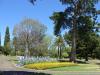 gal/03-Oceanie/32-Australie/02-Queensland/04-Toowoomba/04-Queens_Park_Gardens/_thb_DSC04476.jpg