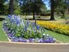 gal/03-Oceanie/32-Australie/02-Queensland/04-Toowoomba/04-Queens_Park_Gardens/_thb_DSC04477.jpg