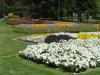 gal/03-Oceanie/32-Australie/02-Queensland/04-Toowoomba/04-Queens_Park_Gardens/_thb_DSC04480.jpg