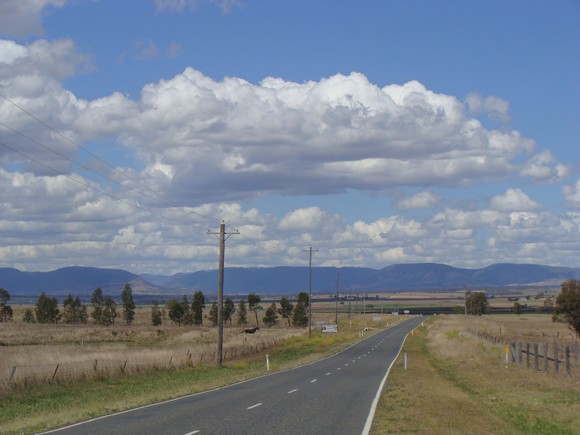 gal/03-Oceanie/32-Australie/02-Queensland/05-route_New_South_Wales/DSC04506.jpg