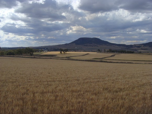 gal/03-Oceanie/32-Australie/02-Queensland/05-route_New_South_Wales/DSC04509.jpg