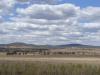gal/03-Oceanie/32-Australie/02-Queensland/05-route_New_South_Wales/_thb_DSC04495.jpg