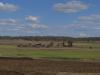 gal/03-Oceanie/32-Australie/02-Queensland/05-route_New_South_Wales/_thb_DSC04499.jpg