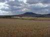 gal/03-Oceanie/32-Australie/02-Queensland/05-route_New_South_Wales/_thb_DSC04509.jpg