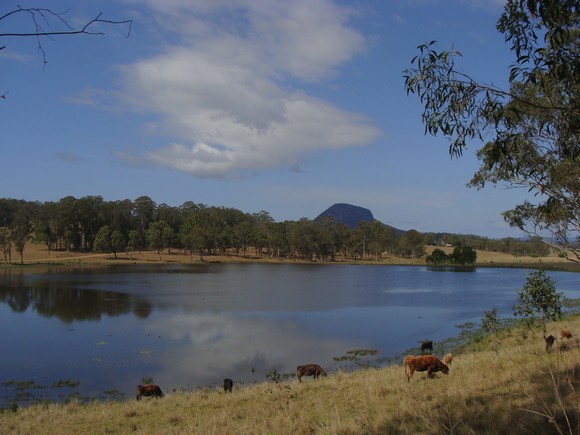 gal/03-Oceanie/32-Australie/03-New_South_Wales/01-route_Coffs_Harbour/DSC04528.jpg