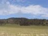 gal/03-Oceanie/32-Australie/03-New_South_Wales/01-route_Coffs_Harbour/_thb_DSC04511.jpg