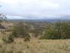 gal/03-Oceanie/32-Australie/03-New_South_Wales/01-route_Coffs_Harbour/_thb_DSC04514.jpg