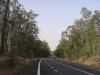 gal/03-Oceanie/32-Australie/03-New_South_Wales/01-route_Coffs_Harbour/_thb_DSC04535.jpg