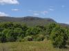 gal/03-Oceanie/32-Australie/03-New_South_Wales/01-route_Coffs_Harbour/_thb_DSC04553.jpg