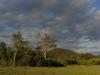 gal/03-Oceanie/32-Australie/03-New_South_Wales/01-route_Coffs_Harbour/_thb_DSC04556.jpg