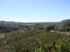 gal/03-Oceanie/32-Australie/03-New_South_Wales/01-route_Coffs_Harbour/_thb_DSC04563.jpg