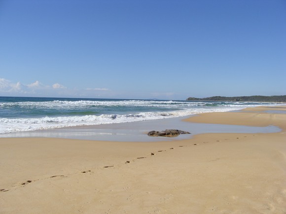 gal/03-Oceanie/32-Australie/03-New_South_Wales/02-route_Port_Macquarie/DSC04574.jpg