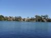 gal/03-Oceanie/32-Australie/03-New_South_Wales/02-route_Port_Macquarie/_thb_DSC04573.jpg