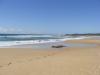 gal/03-Oceanie/32-Australie/03-New_South_Wales/02-route_Port_Macquarie/_thb_DSC04574.jpg