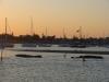 gal/03-Oceanie/32-Australie/03-New_South_Wales/03-Port_Macquarie/_thb_DSC04589.jpg