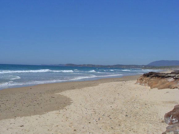 gal/03-Oceanie/32-Australie/03-New_South_Wales/04-route_Port_Stephens/DSC04593.jpg