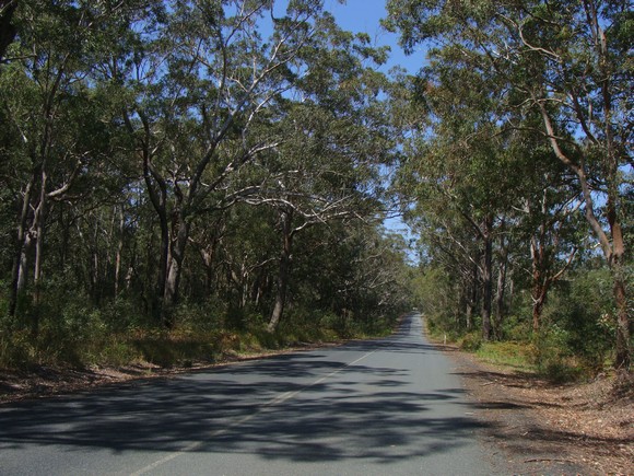 gal/03-Oceanie/32-Australie/03-New_South_Wales/04-route_Port_Stephens/DSC04620.jpg