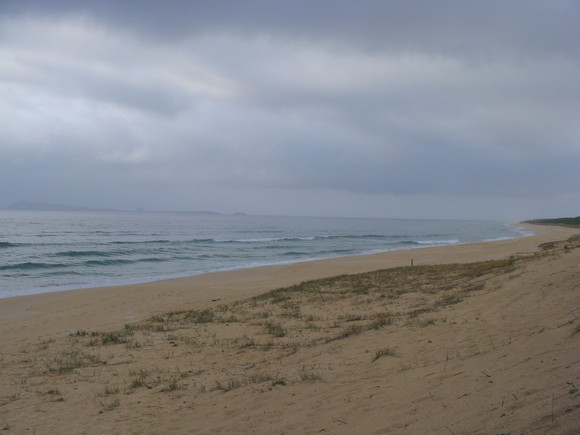 gal/03-Oceanie/32-Australie/03-New_South_Wales/04-route_Port_Stephens/DSC04635.jpg