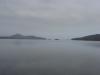 gal/03-Oceanie/32-Australie/03-New_South_Wales/04-route_Port_Stephens/_thb_DSC04609.jpg