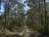 gal/03-Oceanie/32-Australie/03-New_South_Wales/04-route_Port_Stephens/_thb_DSC04624.jpg