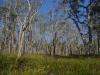 gal/03-Oceanie/32-Australie/03-New_South_Wales/04-route_Port_Stephens/_thb_DSC04631.jpg