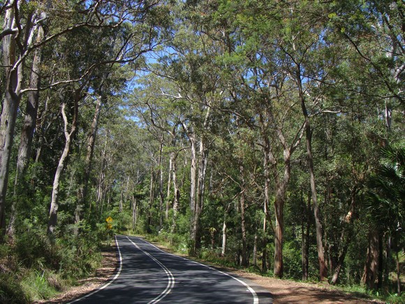 gal/03-Oceanie/32-Australie/03-New_South_Wales/06-route_Bega/DSC04786.jpg
